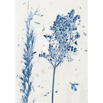 'Blue Grasses' gift card