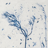 'Blue Tree' gift card